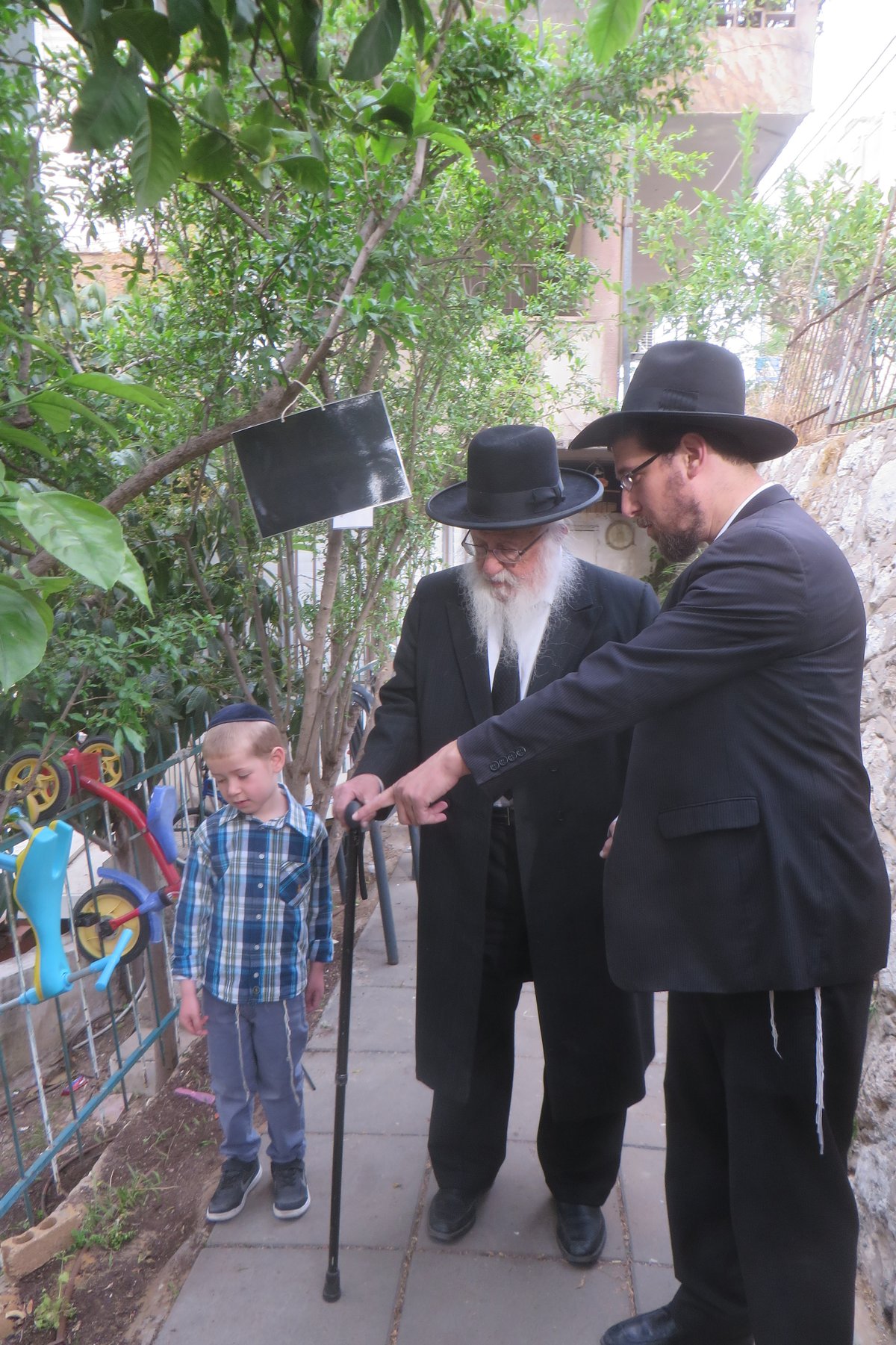 תיעוד: הגרב"ד פוברסקי בברכת האילנות