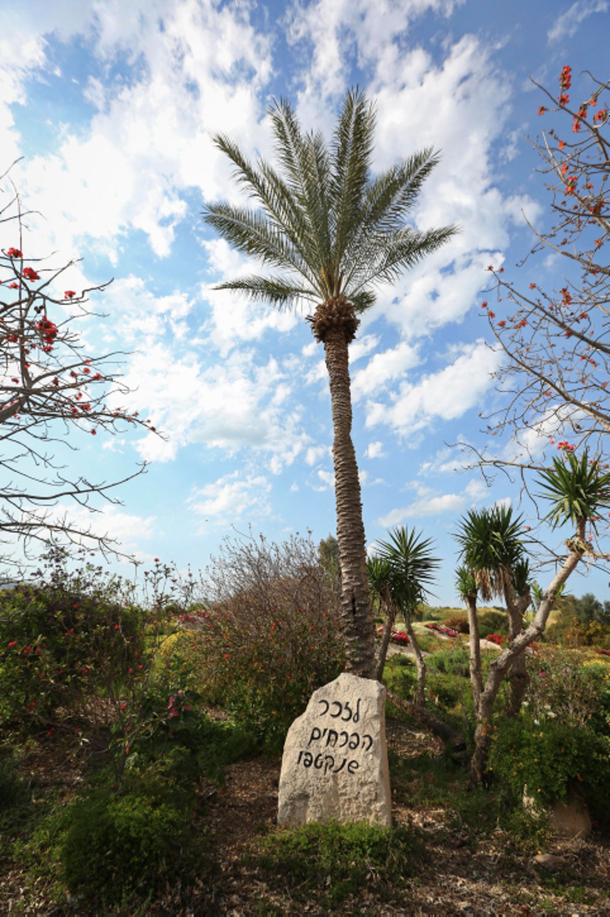 הגלעד לזכר הנערות שנרצחו בידי חייל ירדני