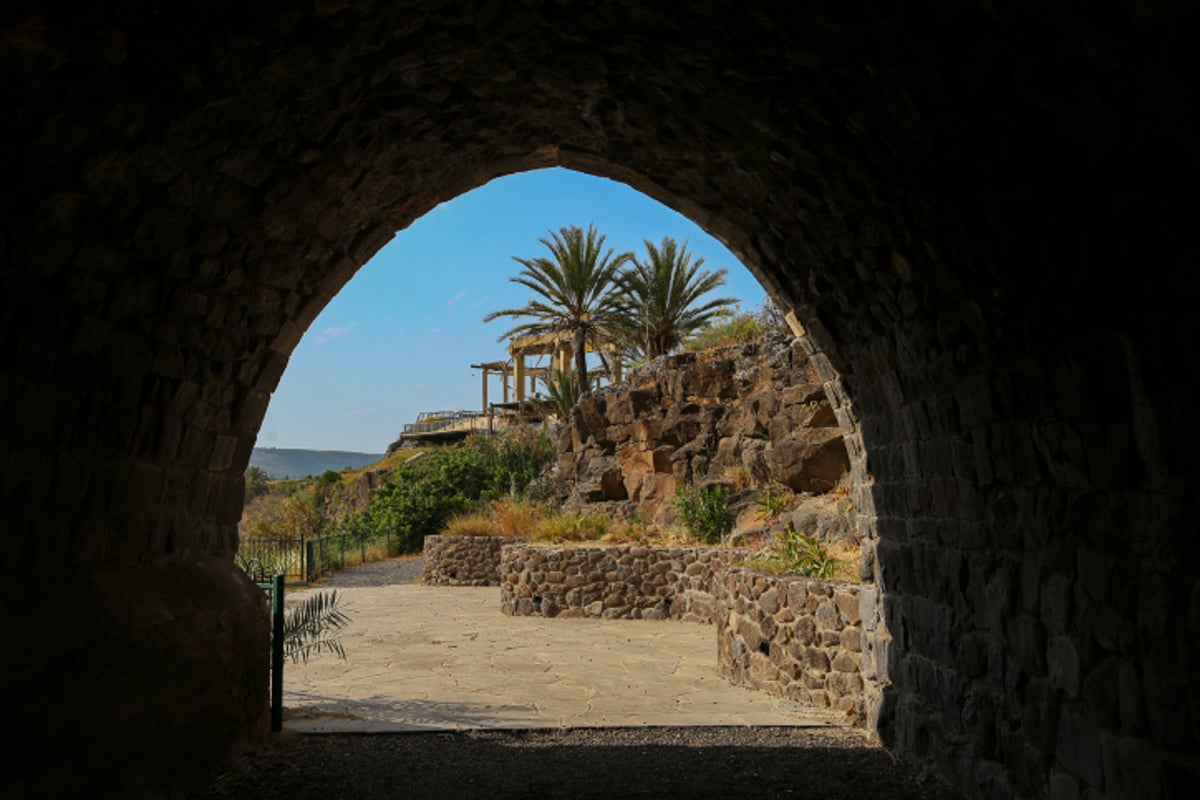 טיול לנהריים על גדות נהרות הירדן והירמוך