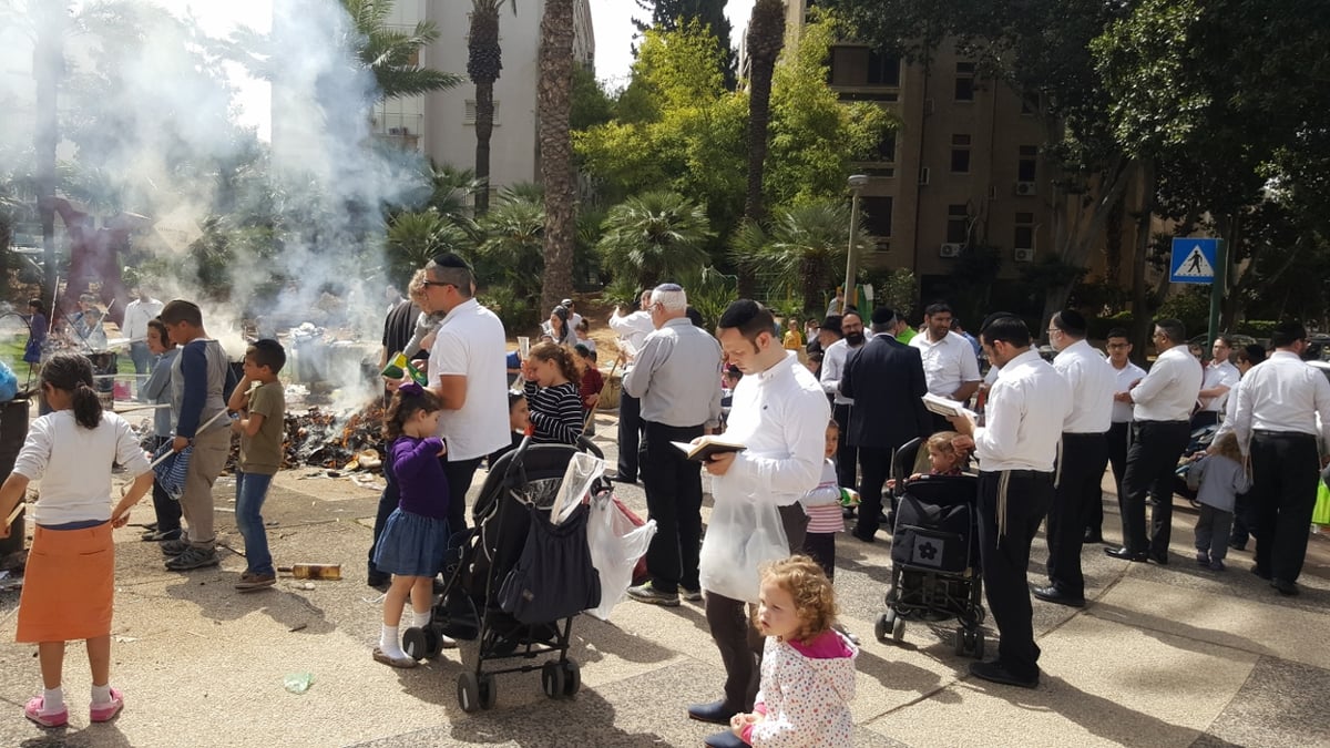 כך שרפו את החמץ בפתח תקווה • גלריה