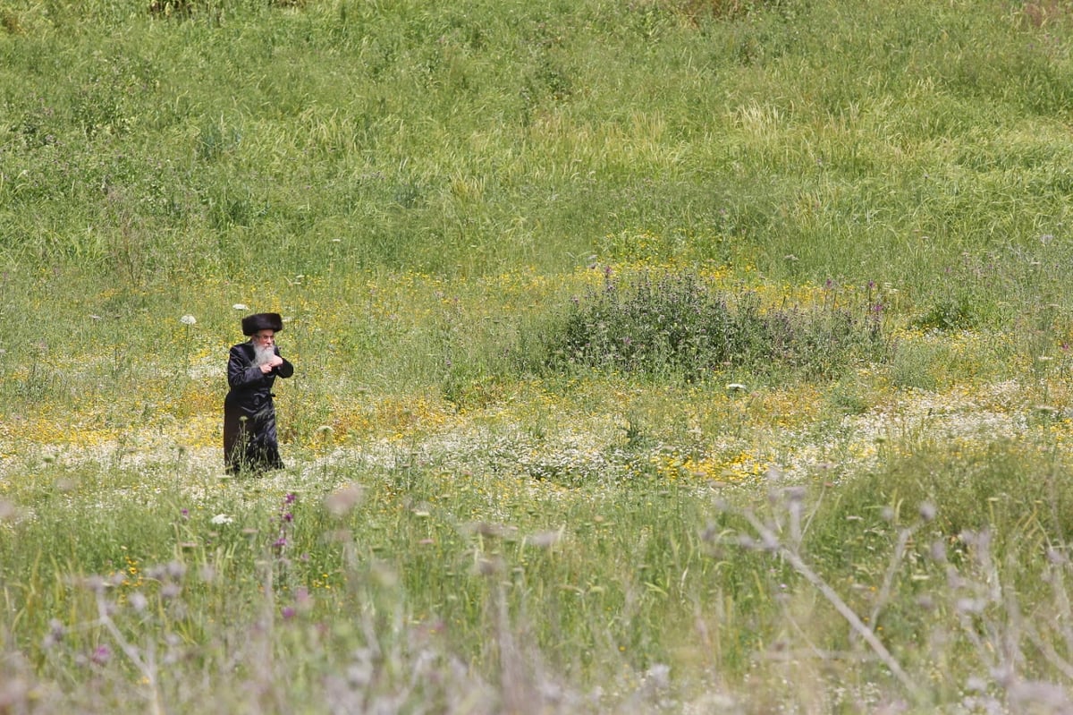 תיעוד מיוחד: ערב חג הפסח בבית שמש