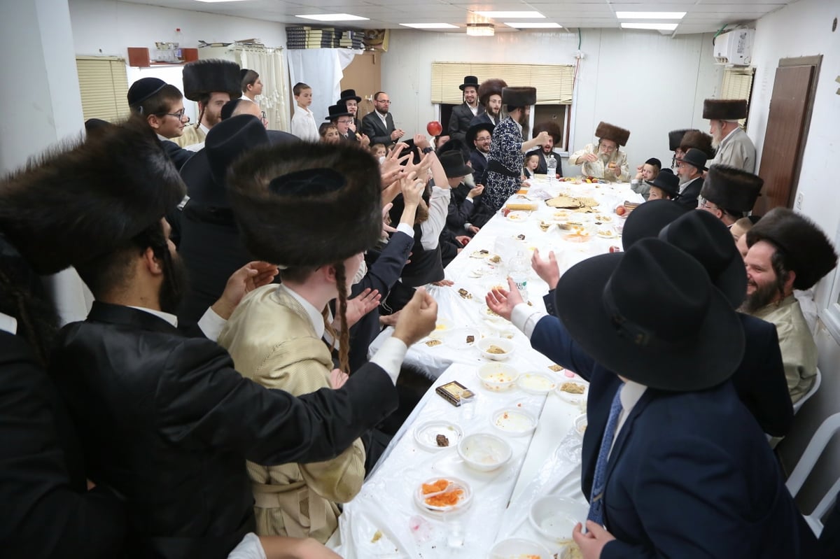 האדמו"ר נעל את החג וזרק תפוחים • צפו