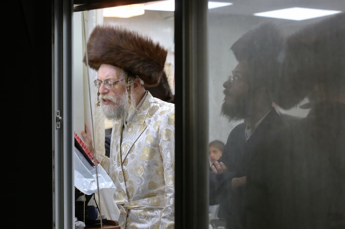 האדמו"ר נעל את החג וזרק תפוחים • צפו