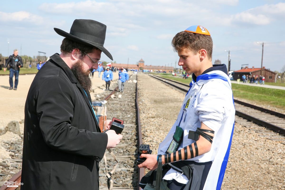 גלריה מסכמת: אלפים במצעד החיים בפולין