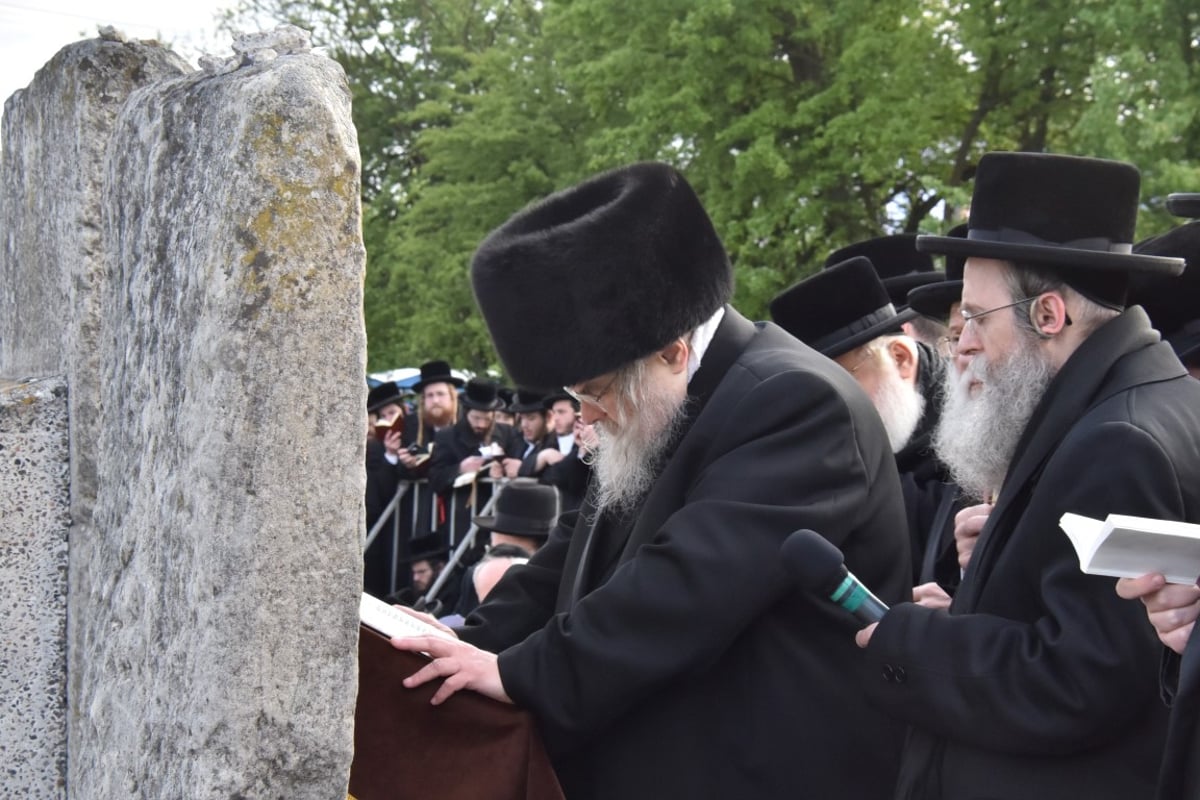 הסתיים החלק הראשון במסע האדמו"ר מבעלזא • תיעוד