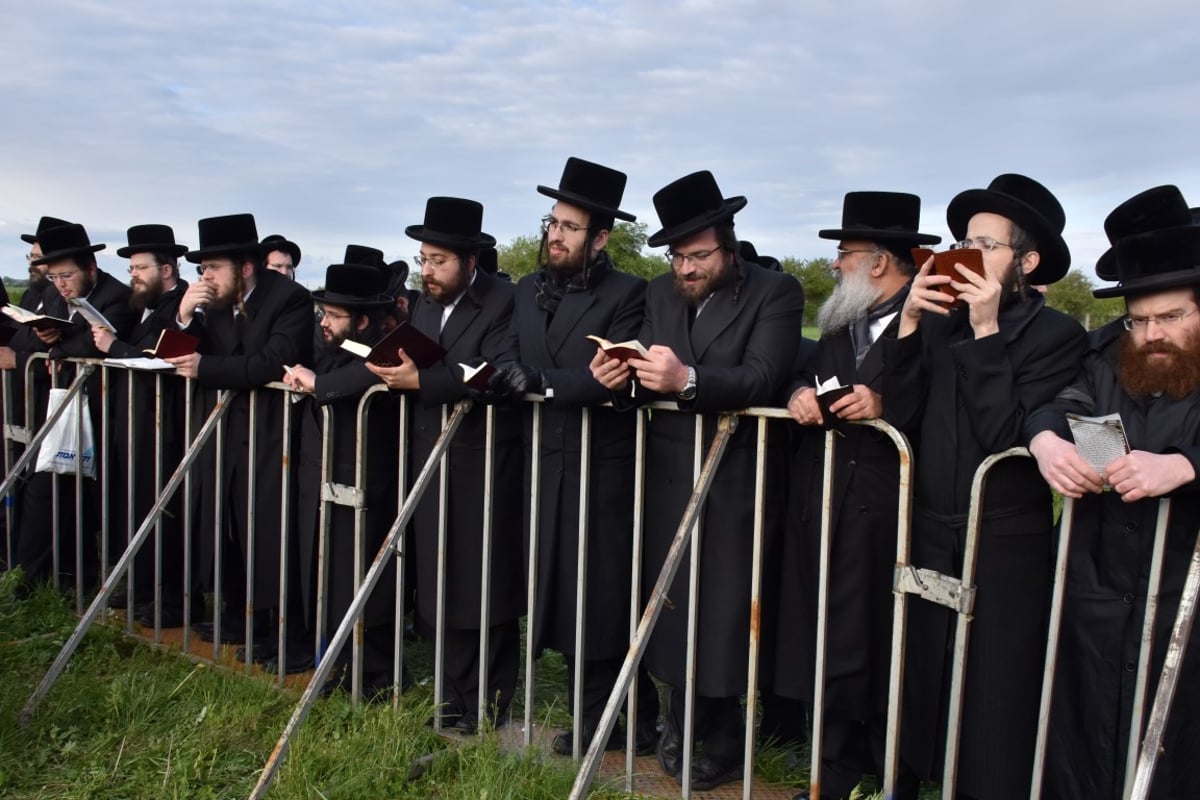 הסתיים החלק הראשון במסע האדמו"ר מבעלזא • תיעוד