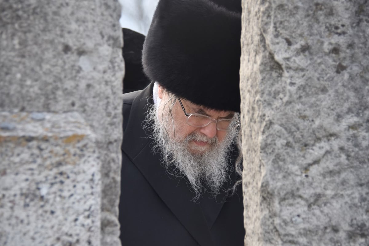 הסתיים החלק הראשון במסע האדמו"ר מבעלזא • תיעוד