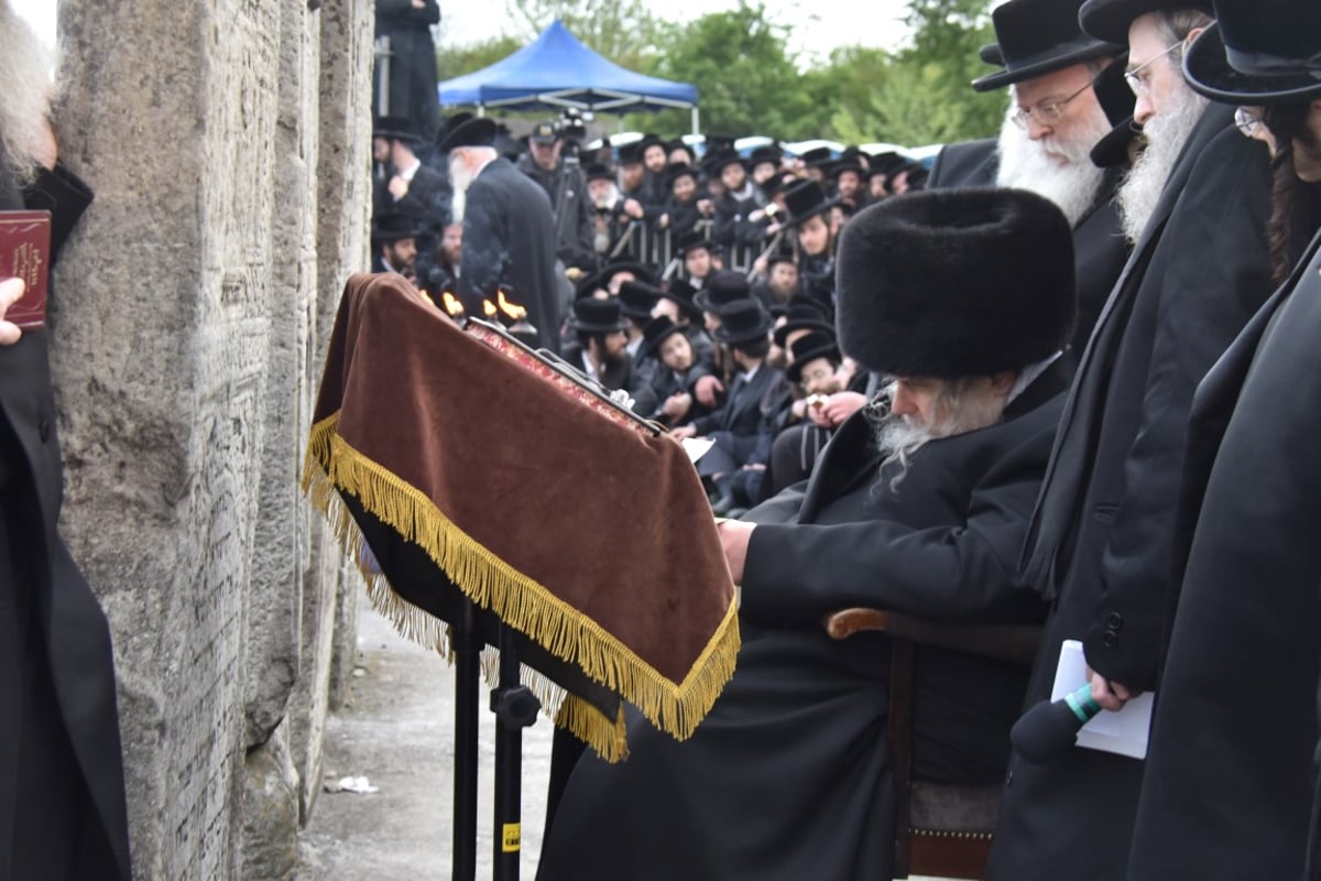 הסתיים החלק הראשון במסע האדמו"ר מבעלזא • תיעוד