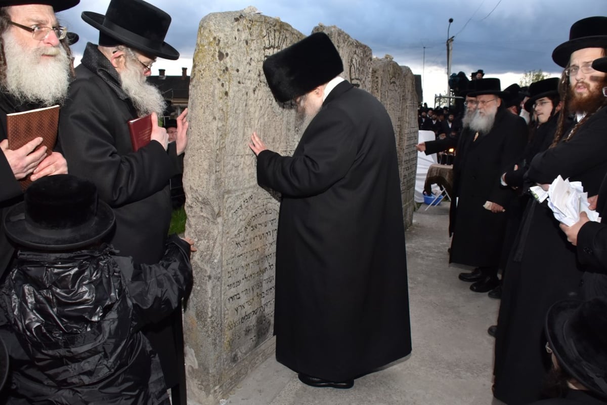 הסתיים החלק הראשון במסע האדמו"ר מבעלזא • תיעוד