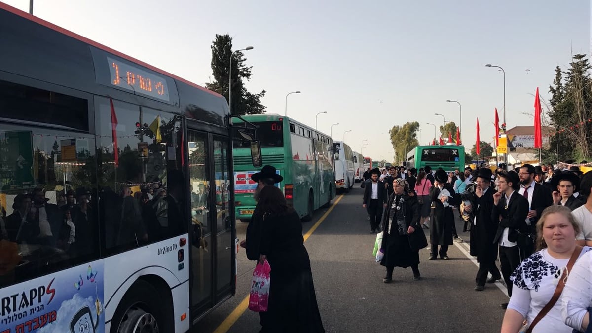 הבלגן במירון: שחרית בצידי הדרכים, הסתערות על אוטובוסים • צפו