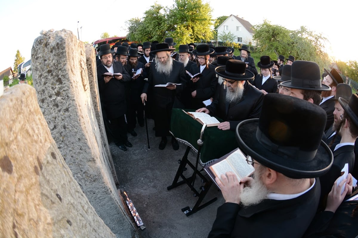 מסע האדמו"ר מסאטמר ומאות הנגידים. צפו