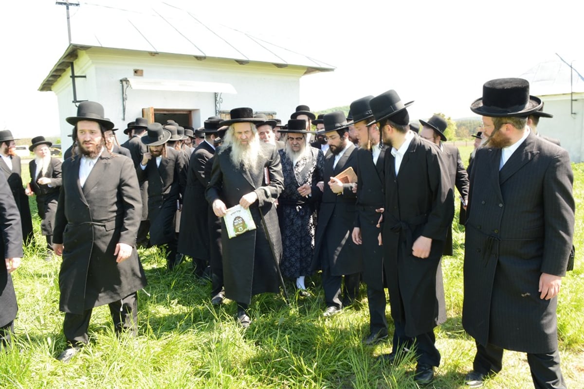 מסע האדמו"ר מסאטמר ומאות הנגידים. צפו