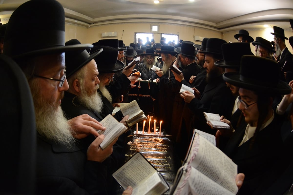 מסע האדמו"ר מסאטמר ומאות הנגידים. צפו