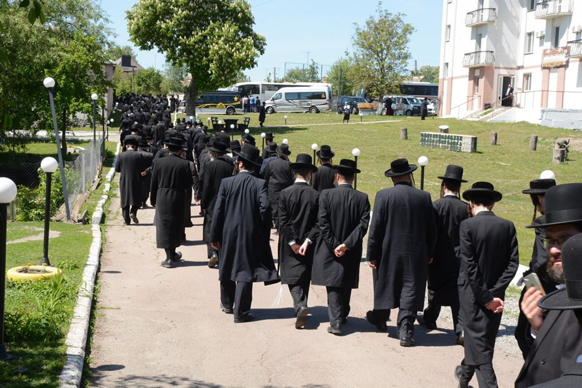 מסע האדמו"ר מסאטמר ומאות הנגידים. צפו