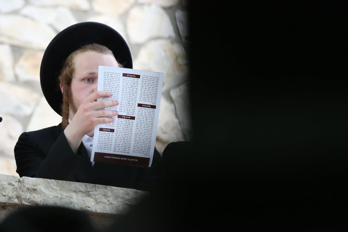 יארצייט לאדמו"ר מזוועהיל: המונים יצאו להר הזיתים