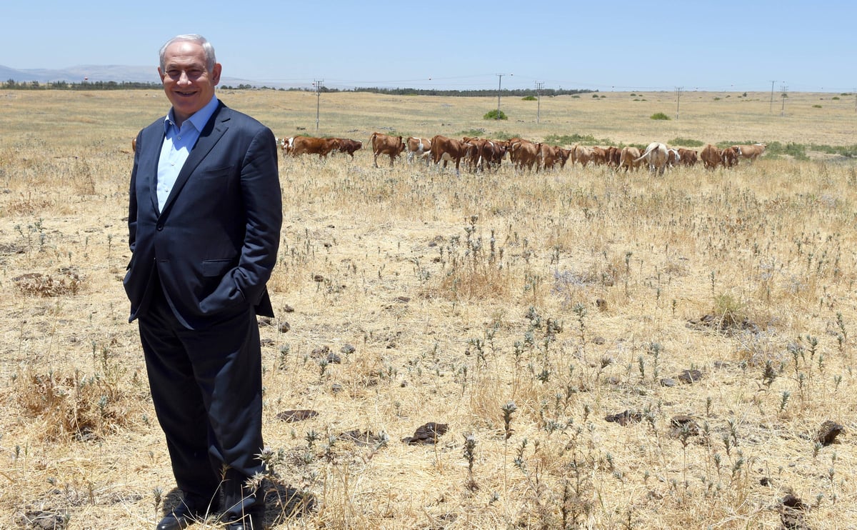 צפו: נתניהו סייר בבית הכנסת העתיק של קצרין וברמת הגולן