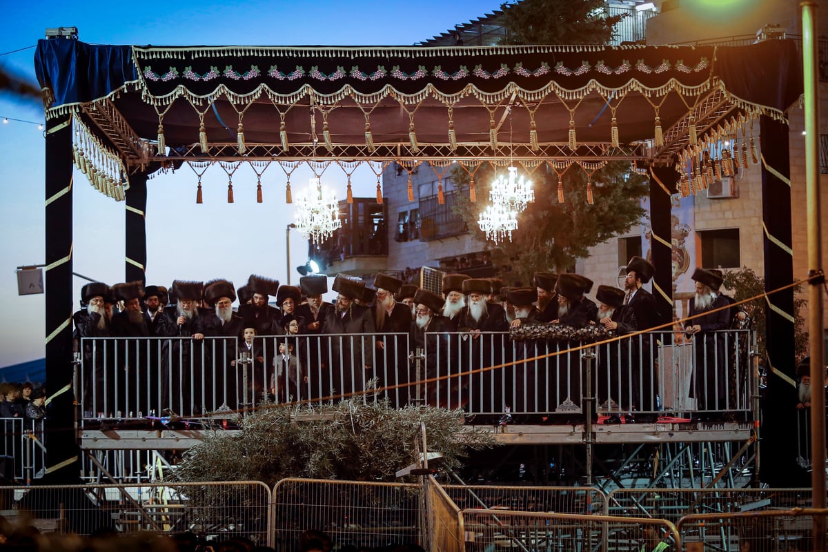 מהחופה ועד ה'מצווה טאנץ' • סיכום מצולם