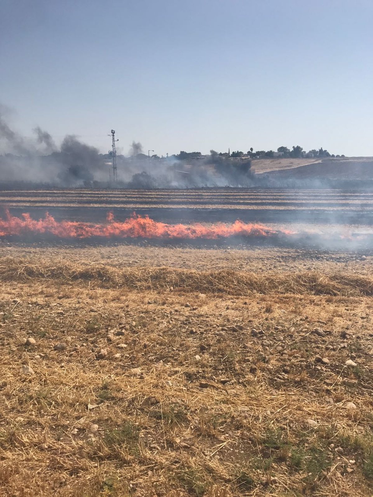 שריפת קוצים ליד כביש 1: תושבי משמר איילון פונו מבתיהם