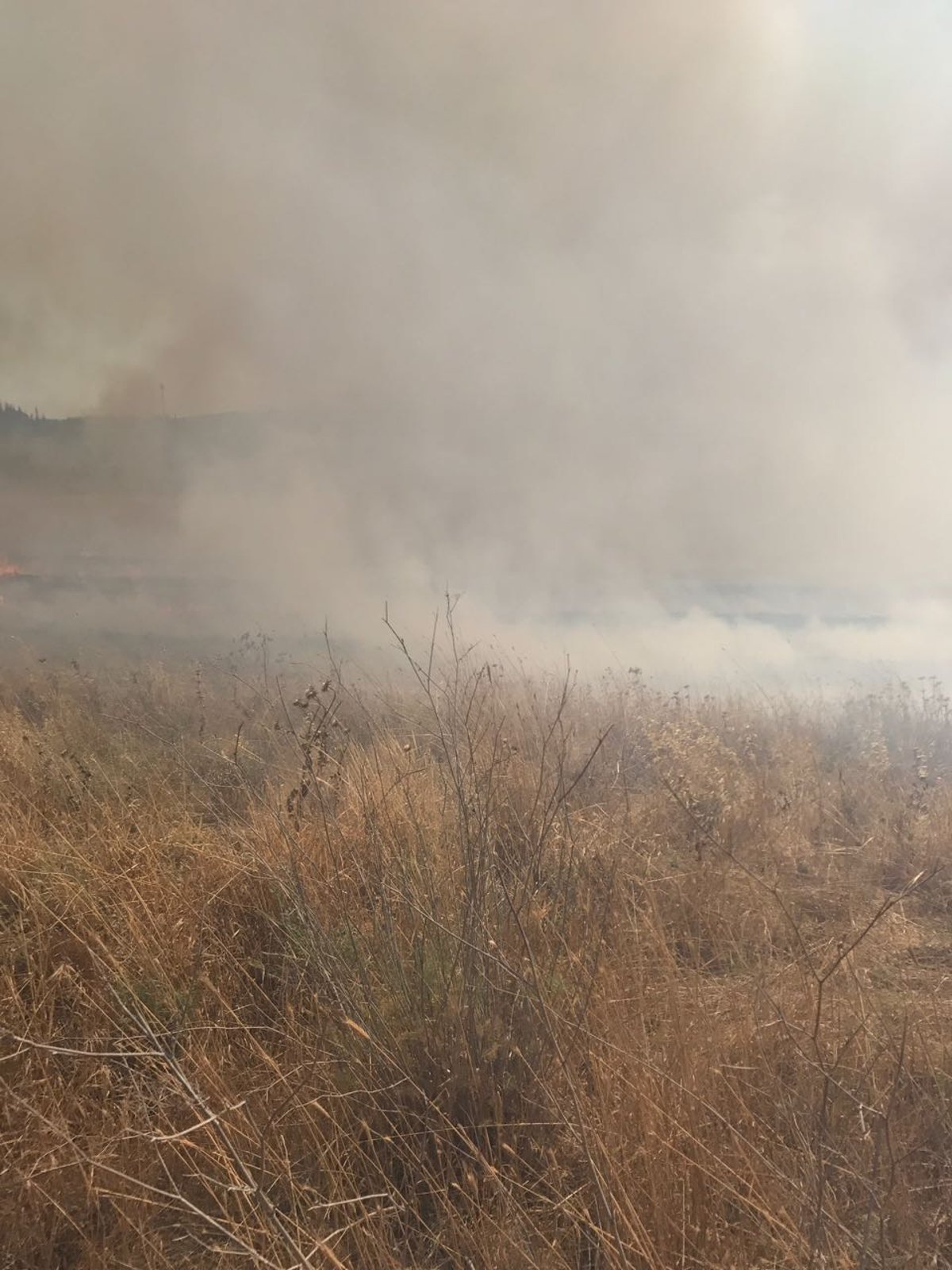 שריפת קוצים ליד כביש 1: תושבי משמר איילון פונו מבתיהם