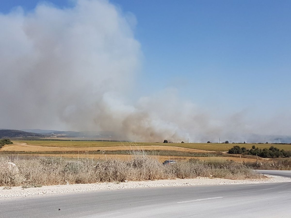 שריפת קוצים ליד כביש 1: תושבי משמר איילון פונו מבתיהם