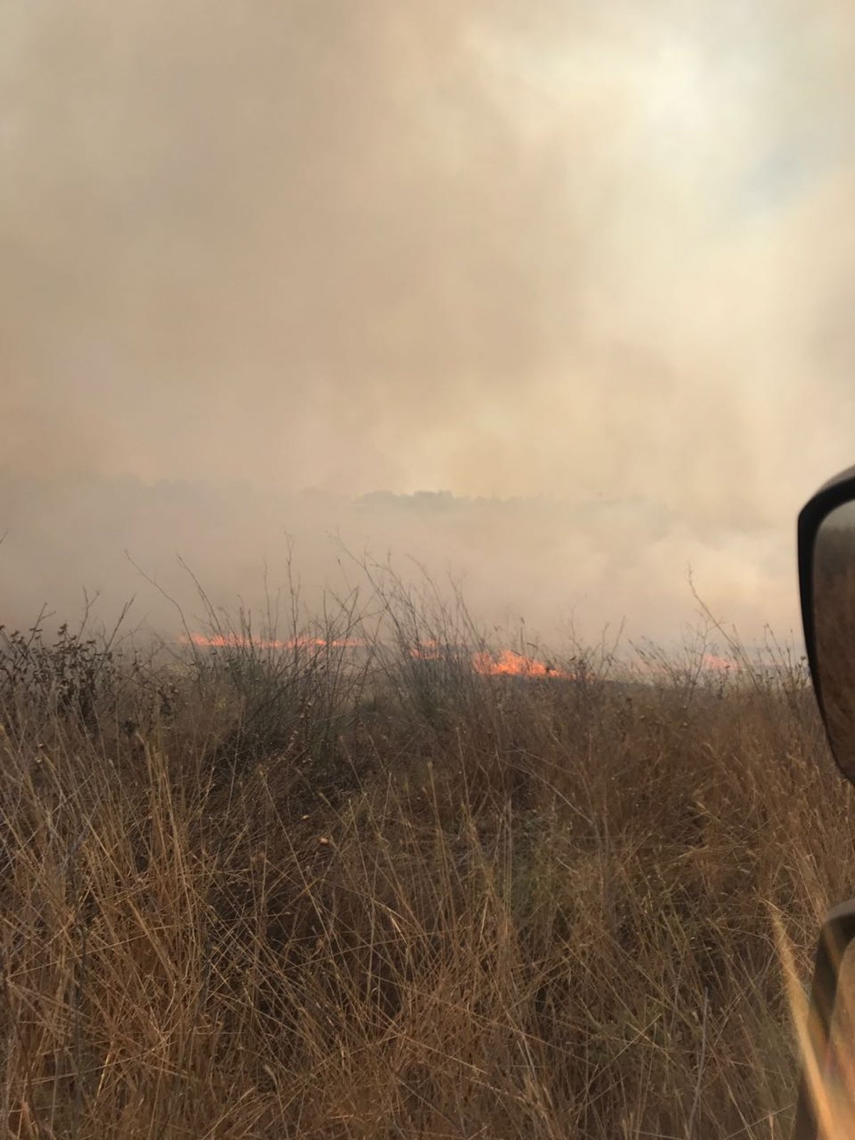 שריפת קוצים ליד כביש 1: תושבי משמר איילון פונו מבתיהם