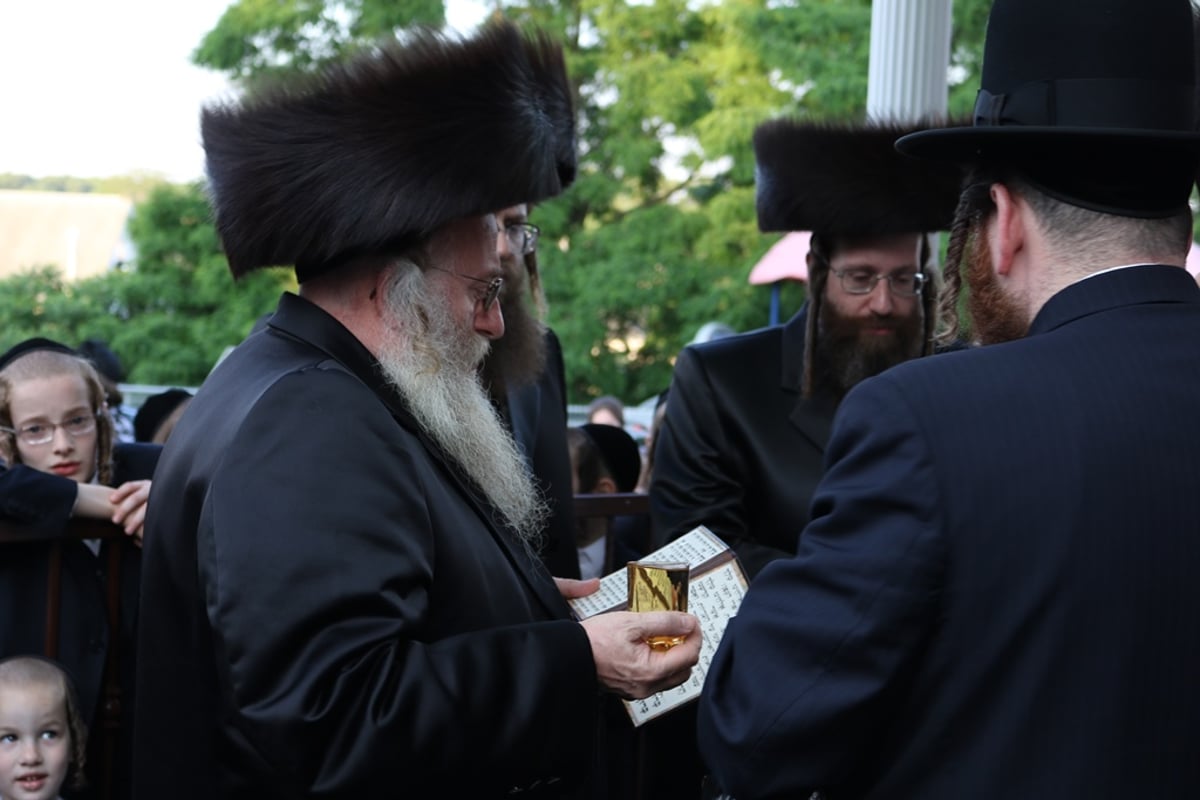 המשב"ק של האדמו"ר מסאטמר חיתן את בנו. צפו