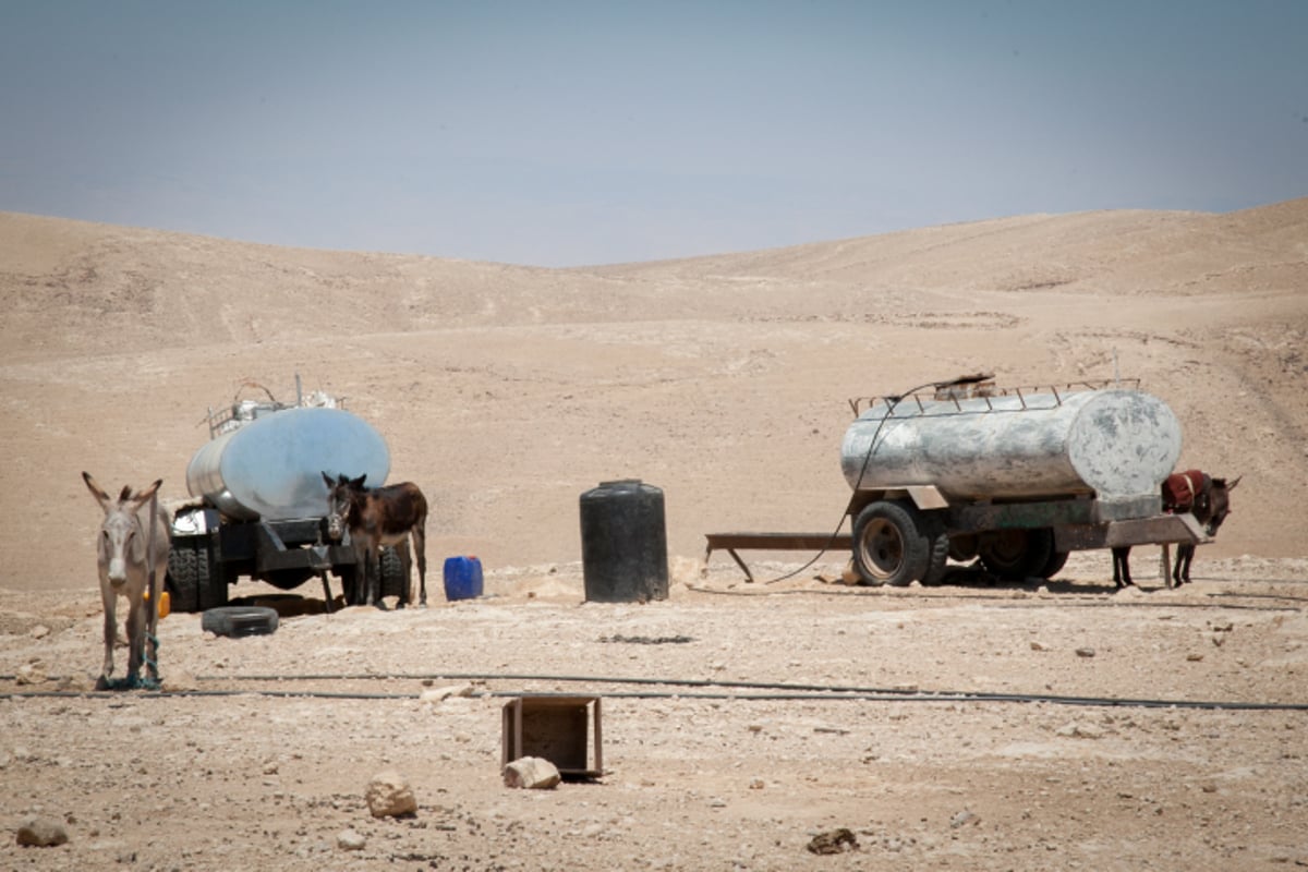 טיול למדבר הקסום בעדשת המצלמה • צפו