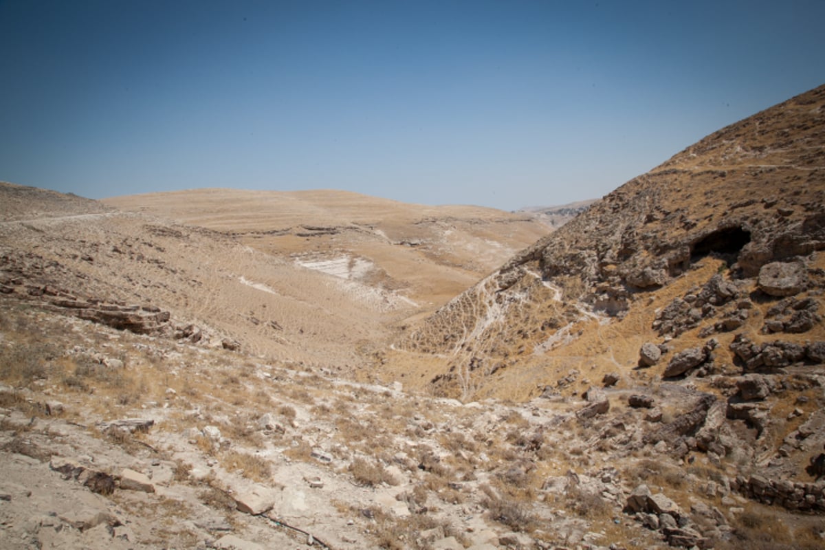 טיול למדבר הקסום בעדשת המצלמה • צפו