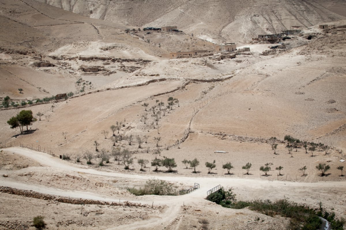 טיול למדבר הקסום בעדשת המצלמה • צפו