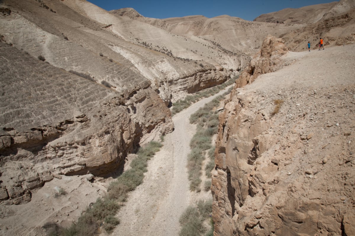 טיול למדבר הקסום בעדשת המצלמה • צפו