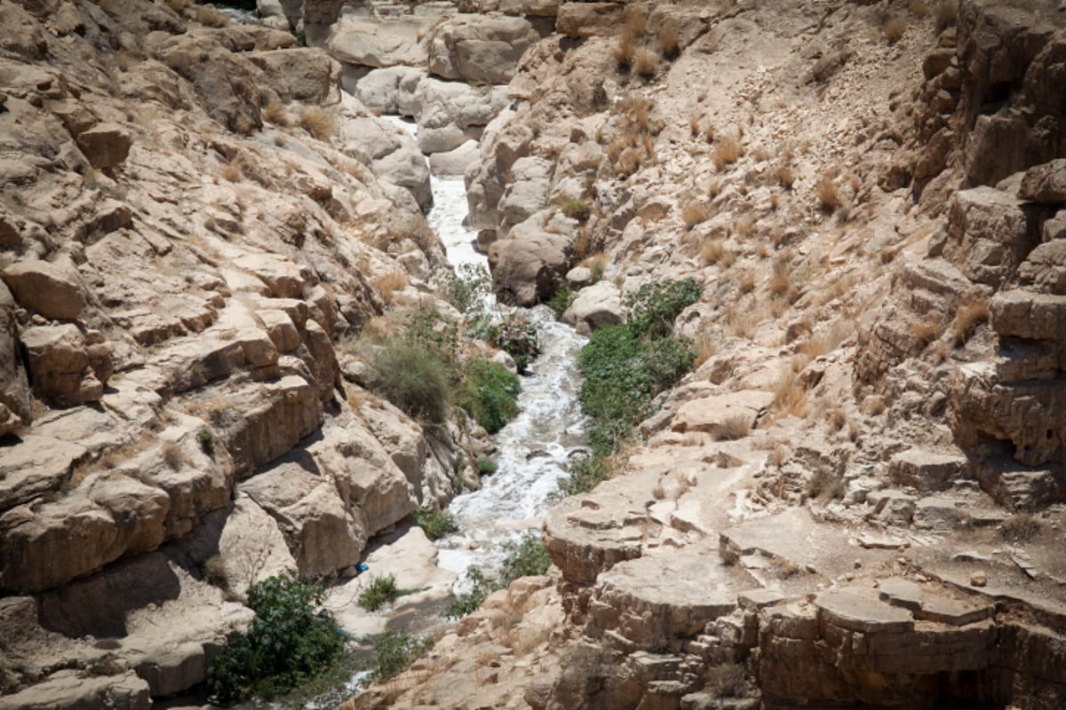 טיול למדבר הקסום בעדשת המצלמה • צפו