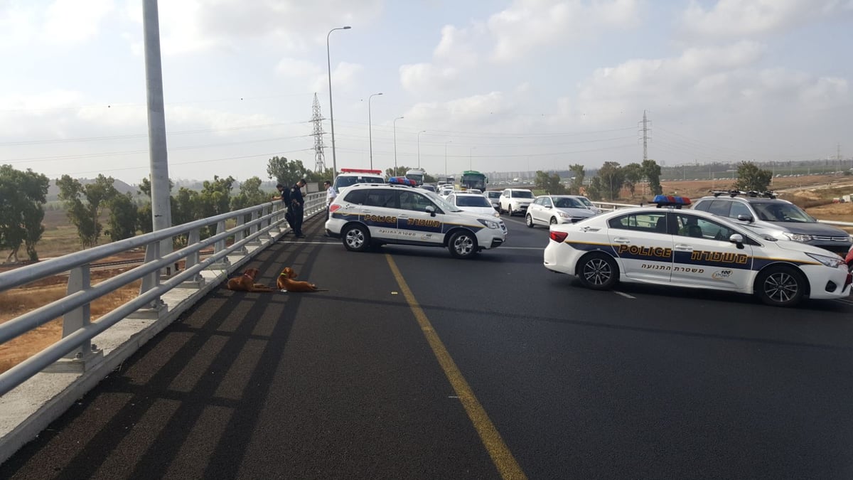 השוטרים זינקו ומנעו את קפיצת הבחורה מהגשר הגבוה