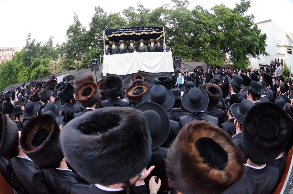 גלריה • חתונת בתו של האדמו"ר מסטריקוב