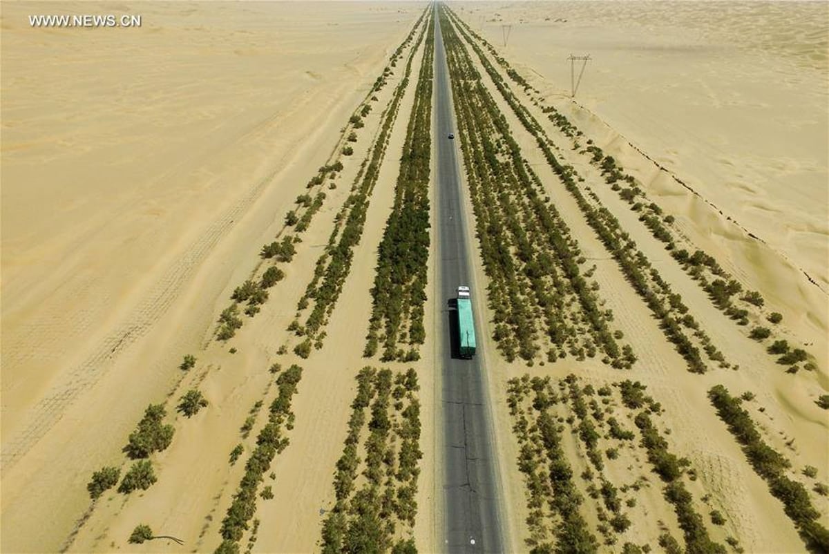 "הקיר הירוק": 20 מיליון עצים נגד סופות חול • צפו