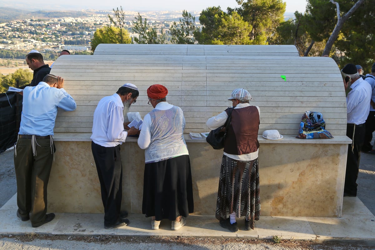 לולבים ואתרוגים בהילולת שמשון הגיבור • צפו