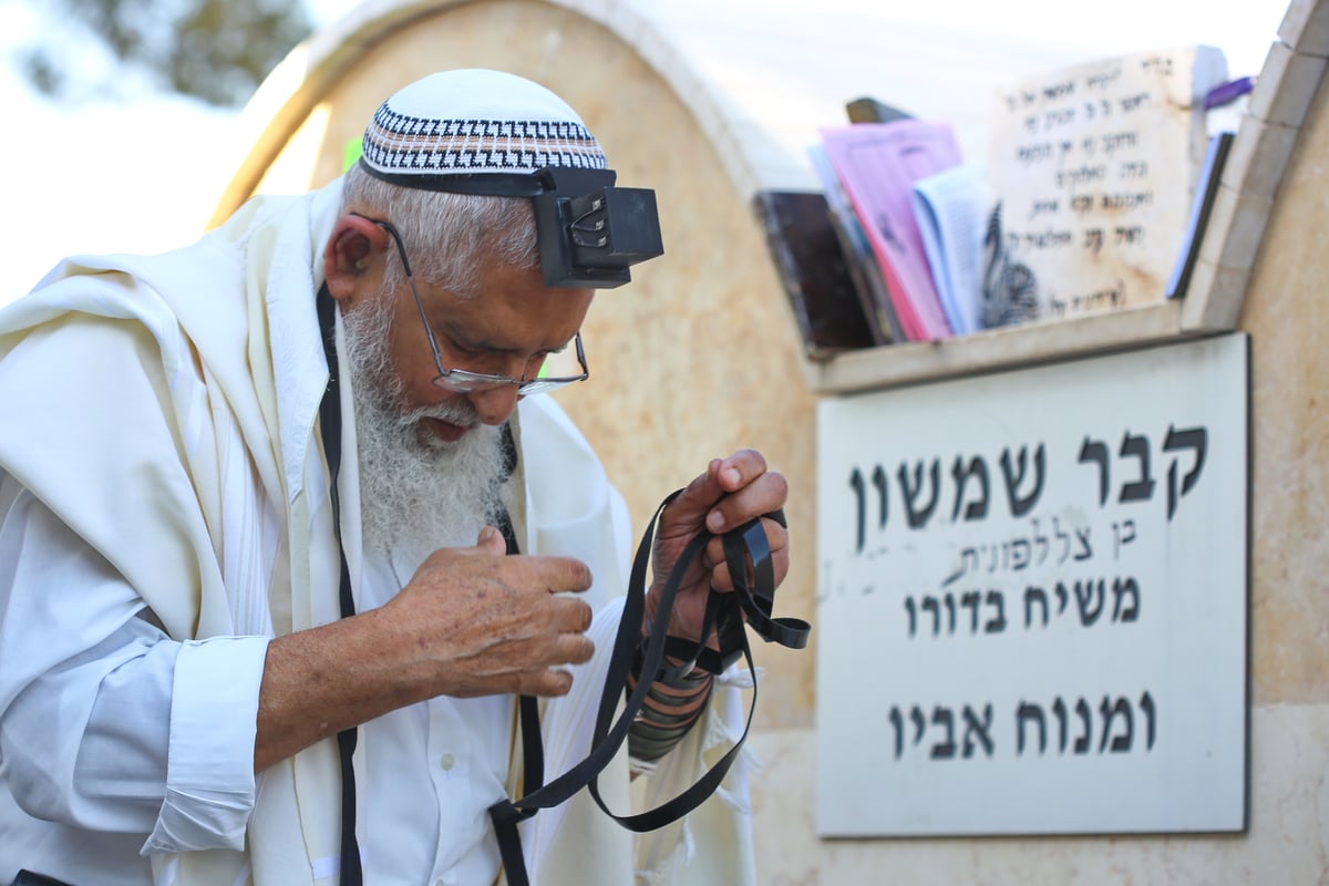 לולבים ואתרוגים בהילולת שמשון הגיבור • צפו