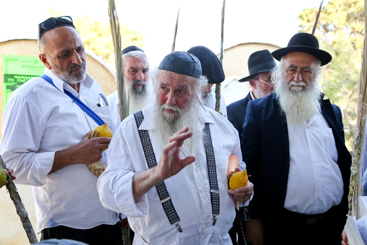 לולבים ואתרוגים בהילולת שמשון הגיבור • צפו