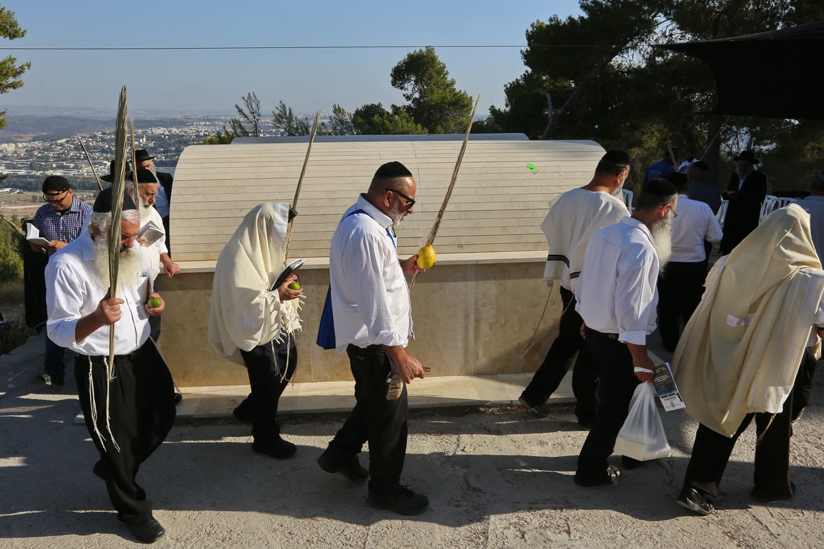 לולבים ואתרוגים בהילולת שמשון הגיבור • צפו