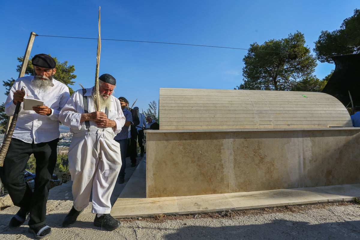 לולבים ואתרוגים בהילולת שמשון הגיבור • צפו