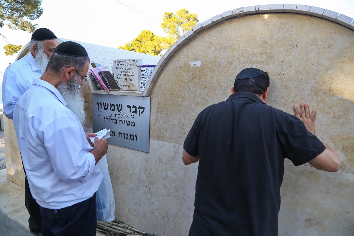 לולבים ואתרוגים בהילולת שמשון הגיבור • צפו