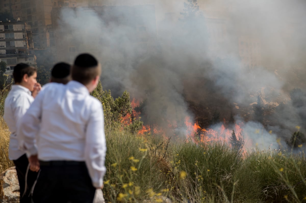 צפו בגלריה: שריפת הענק בפאתי רוממה