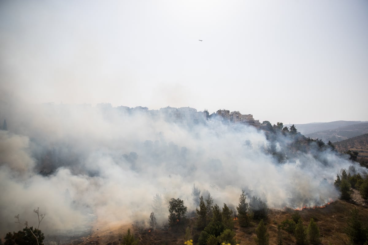 צפו בגלריה: שריפת הענק בפאתי רוממה