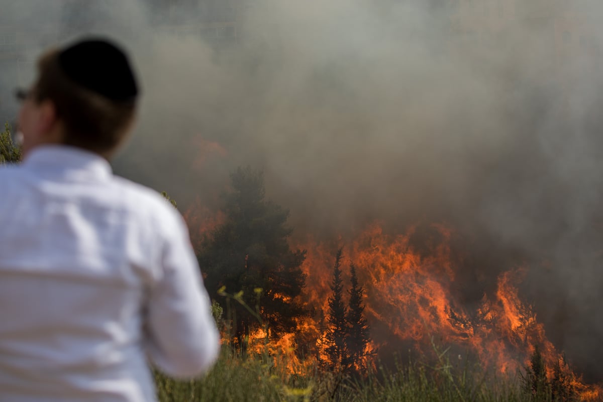 צפו בגלריה: שריפת הענק בפאתי רוממה