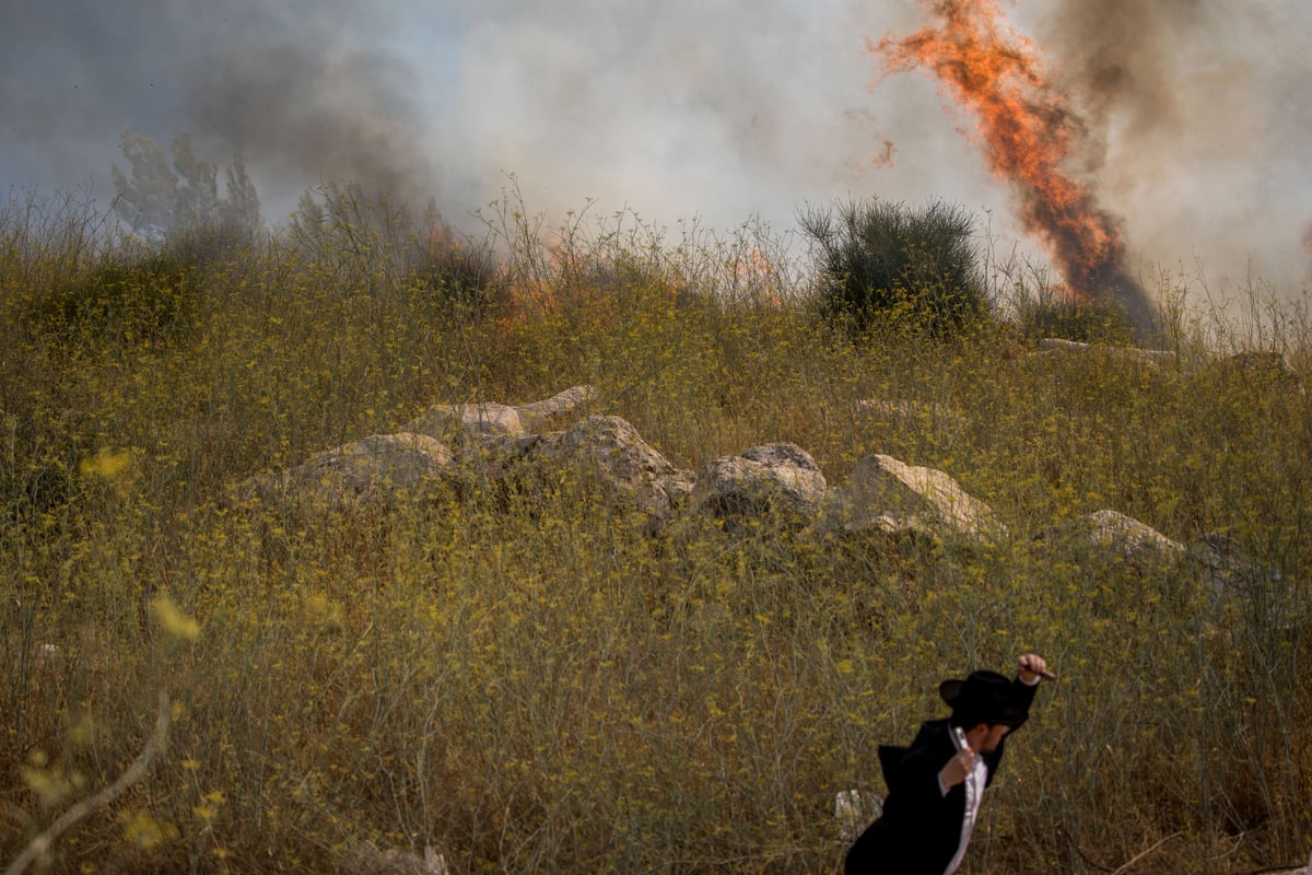 צפו בגלריה: שריפת הענק בפאתי רוממה