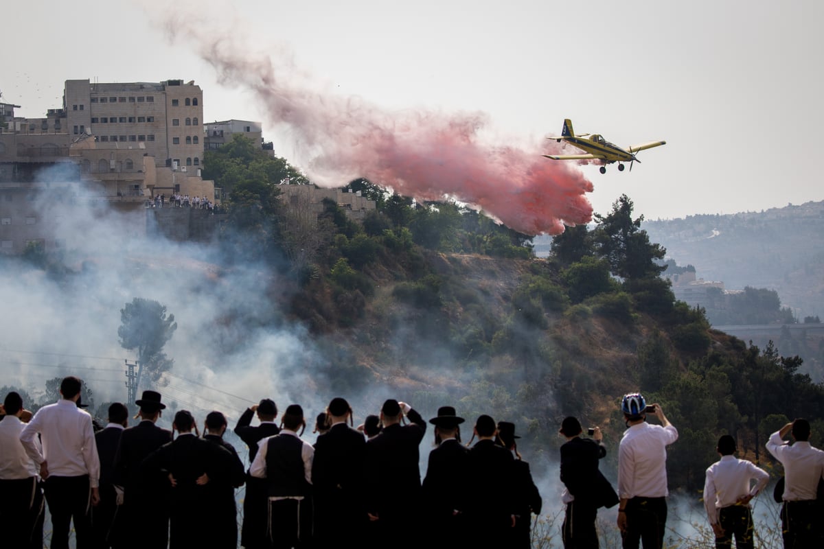 צפו בגלריה: שריפת הענק בפאתי רוממה