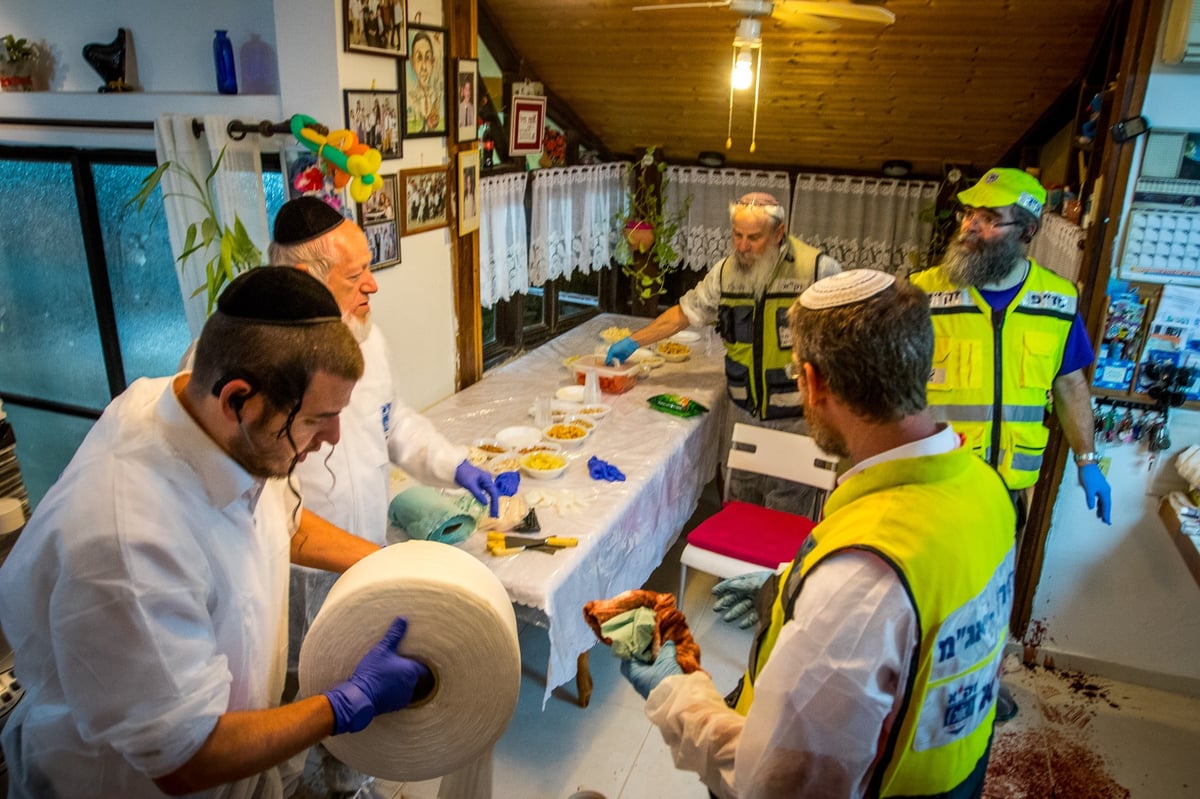 בבית סולומון: שולחן ערוך, 'ארבעס' בפלטה וכל כך הרבה דם • צפו