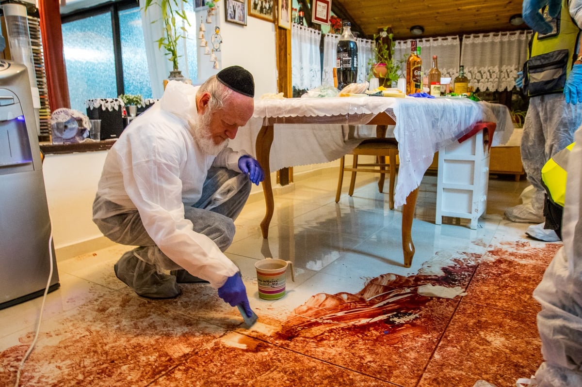 בבית סולומון: שולחן ערוך, 'ארבעס' בפלטה וכל כך הרבה דם • צפו