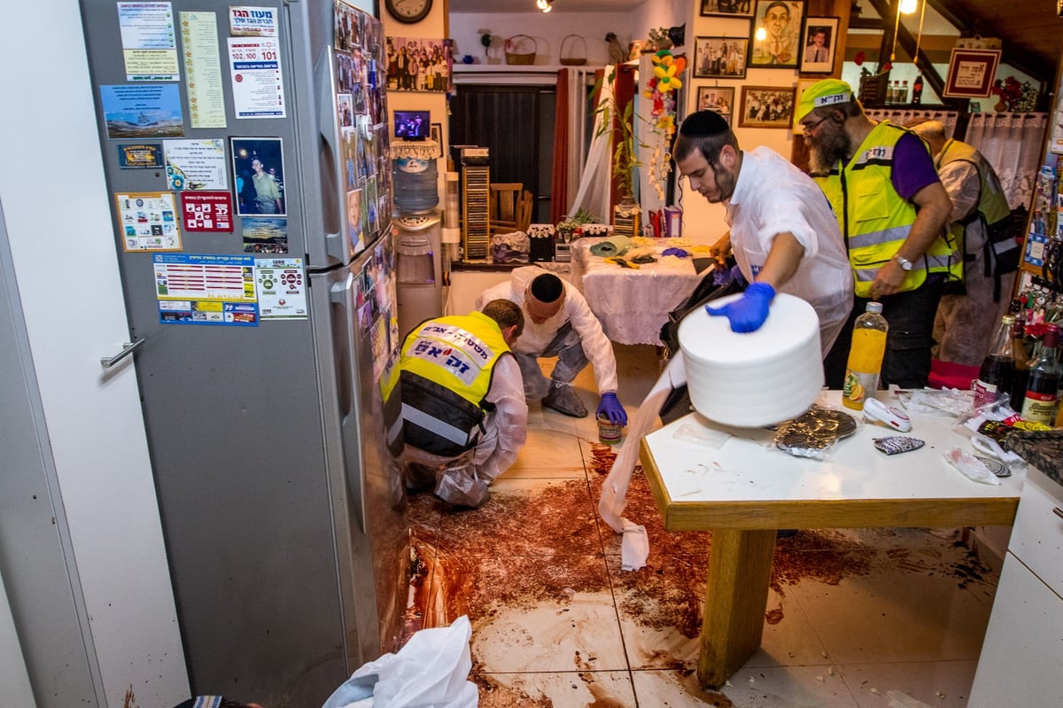 בבית סולומון: שולחן ערוך, 'ארבעס' בפלטה וכל כך הרבה דם • צפו