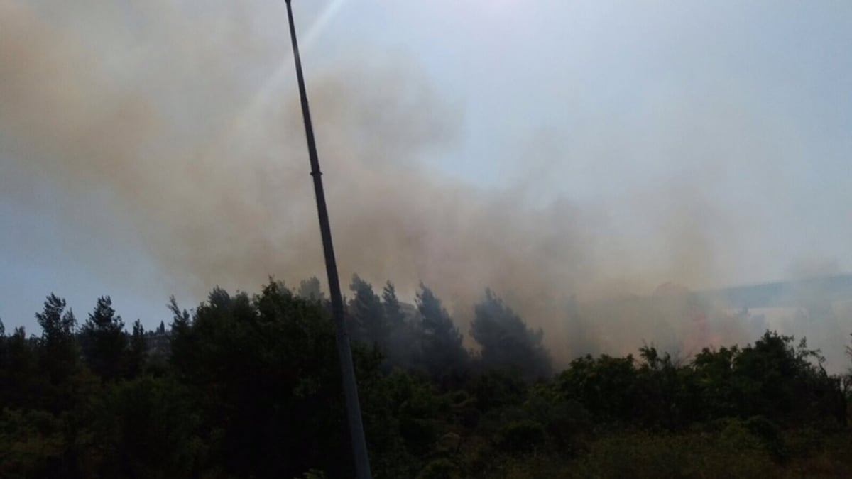 שריפת היער התפשטה; נבדק חשד להצתה