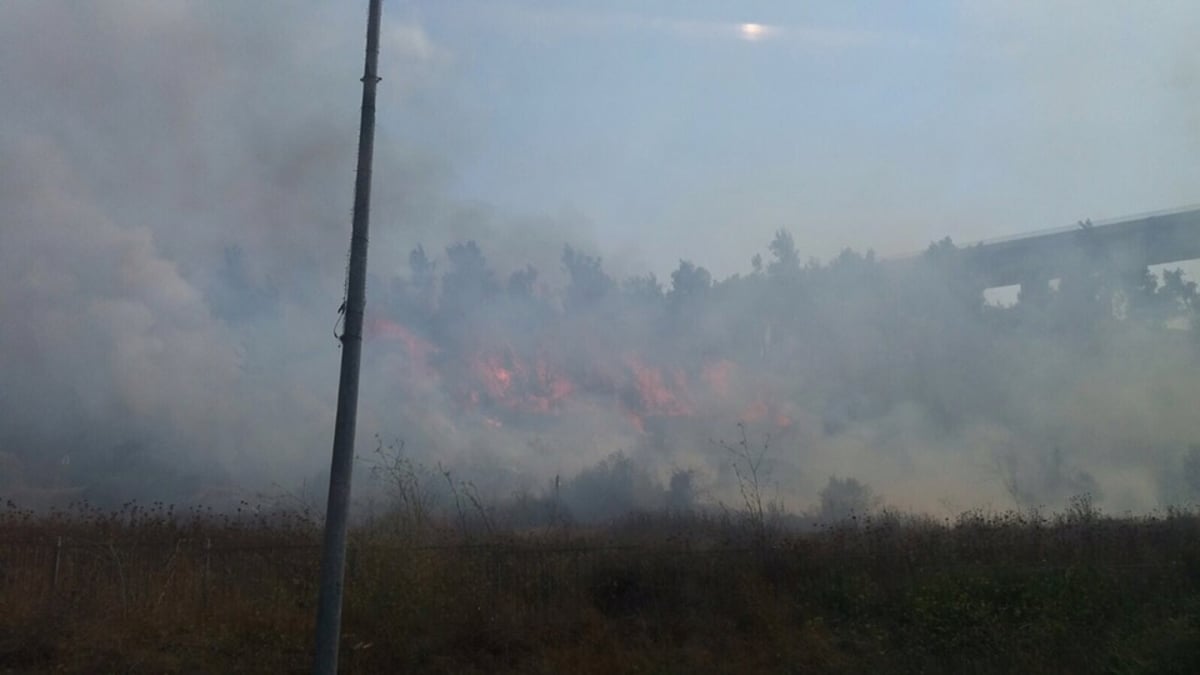 שריפת היער התפשטה; נבדק חשד להצתה